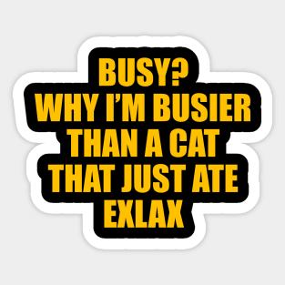 BUSY? WHY I’M BUSIER THAN A CAT THAT JUST ATE EXLAX Sticker